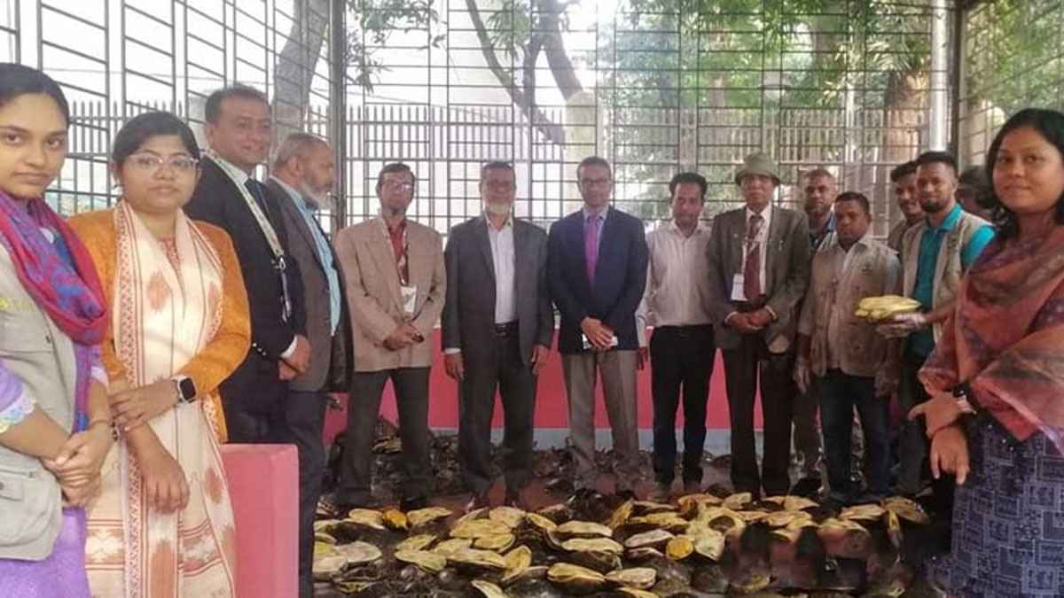 এক হাজার কচ্ছপের সবচেয়ে বড় চালান আটক